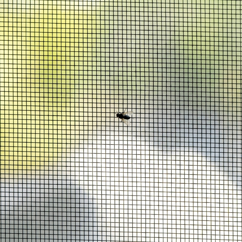 Maille anti-insectes gros plan